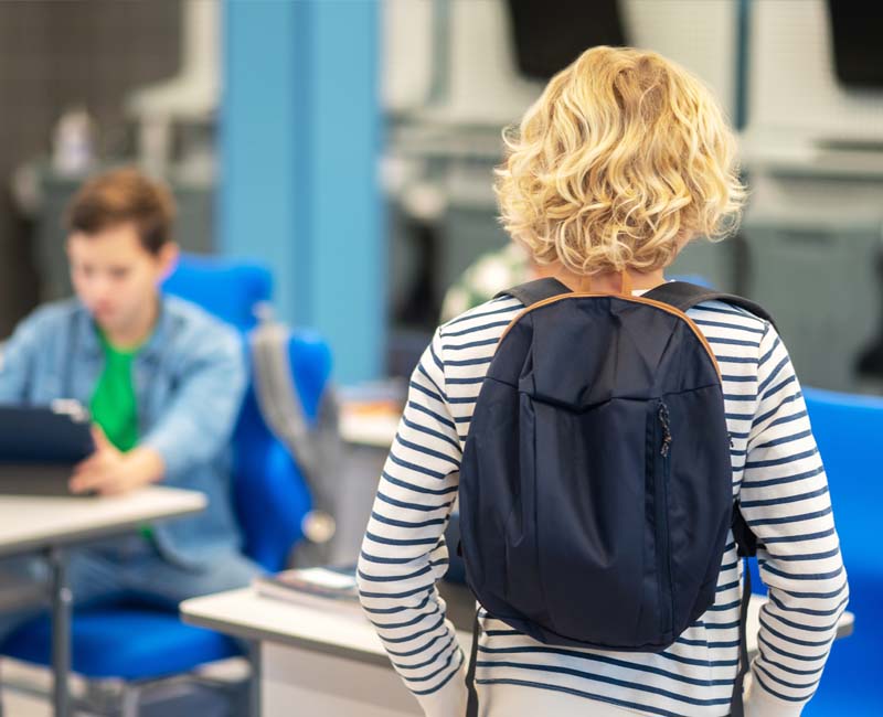 Schoolgerichte systeemtherapie